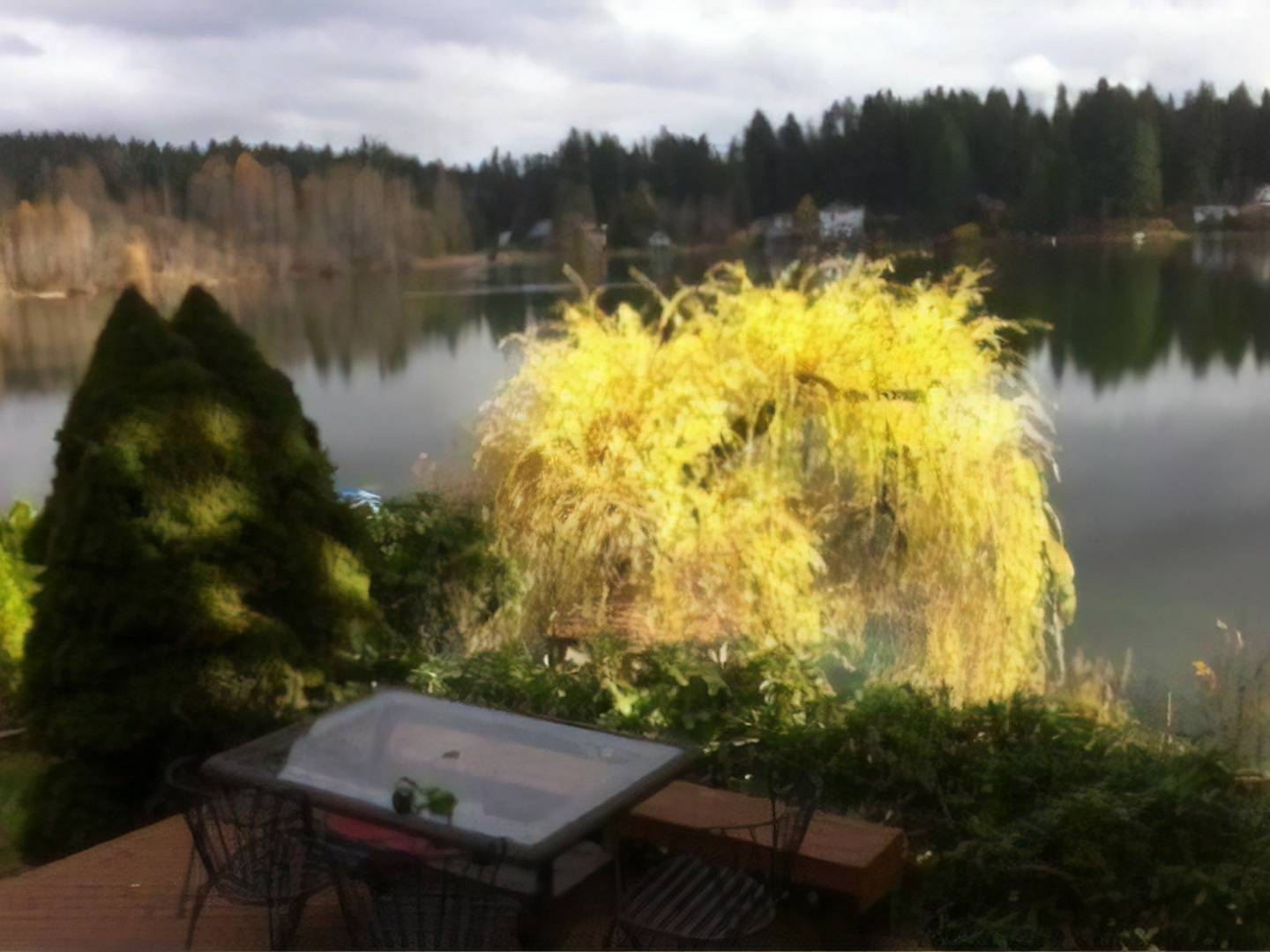 Cottage Lake Bed and Breakfast, Woodinville, Washington Bed and