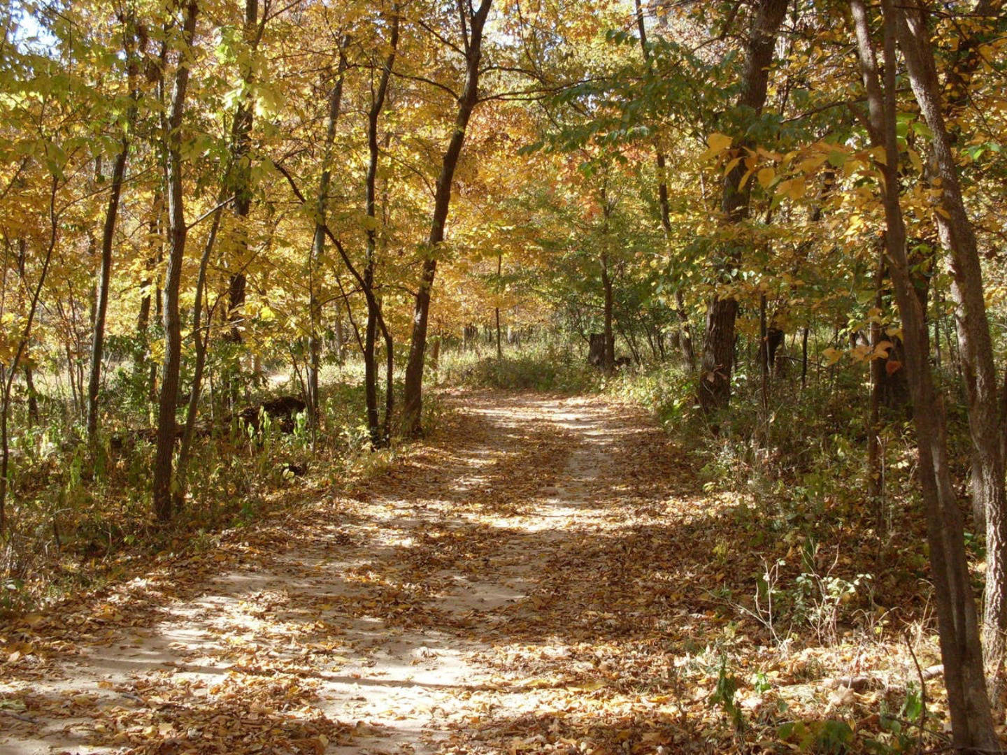 The Woodland B&B, Marshalltown, Iowa Bed And Breakfasts Inns