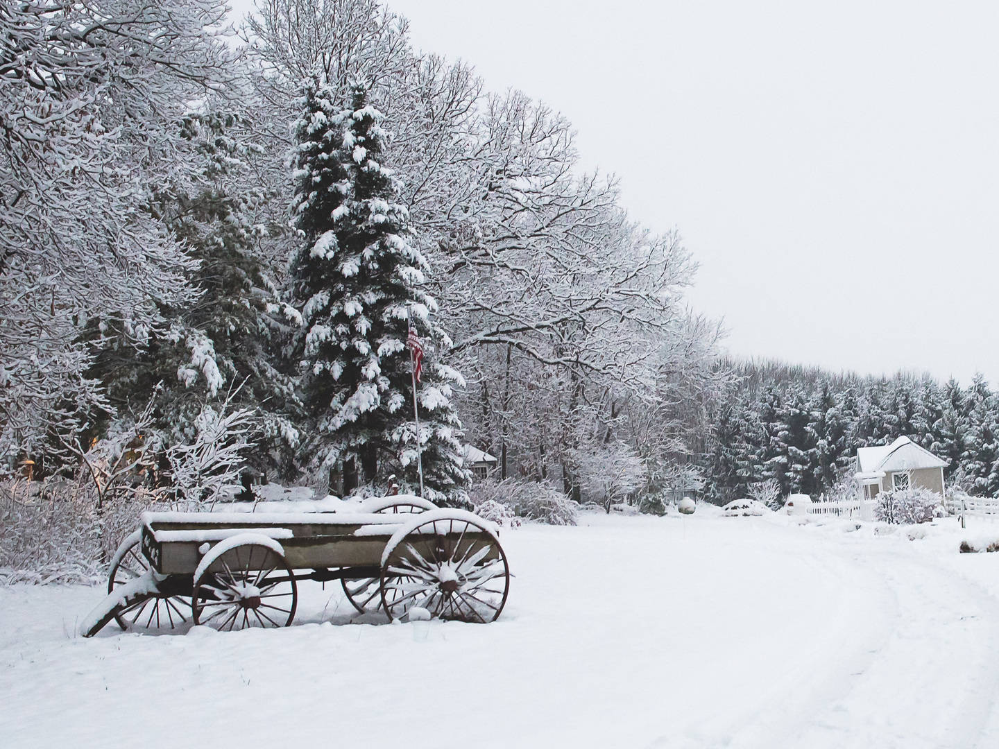 The Speckled Hen Inn Bed And Breakfast, Madison, Wisconsin Bed And ...