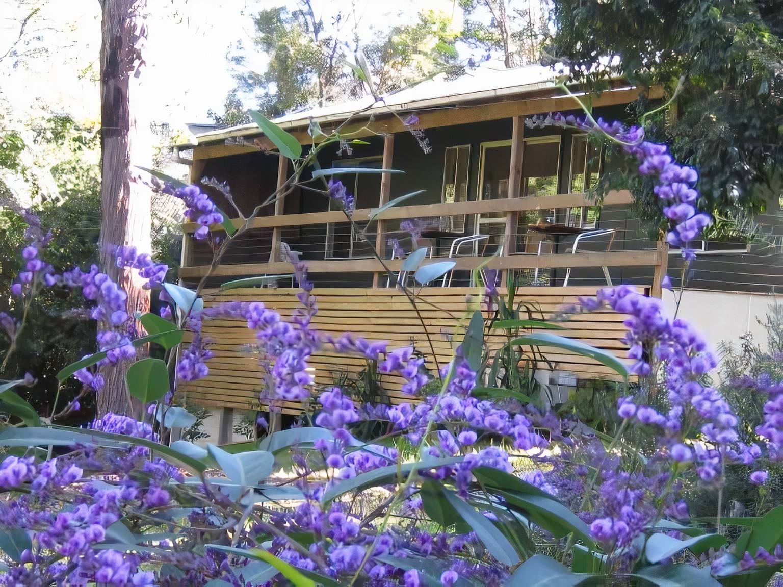 Woodbox Retreat, Healesville, Victoria Bed and Breakfasts Inns