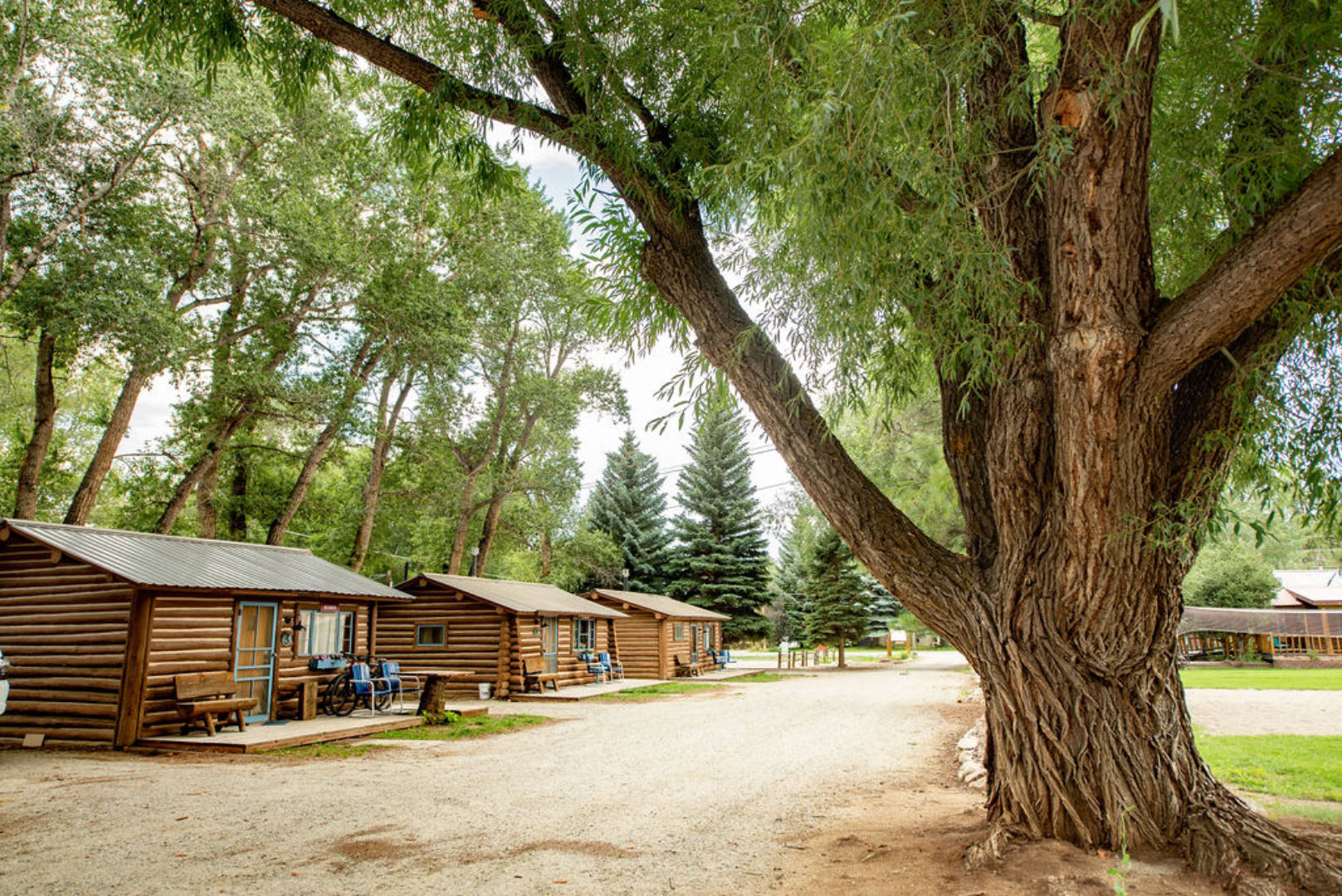 Vista Court Cabins, Buena Vista, Colorado Bed and Breakfasts Inns