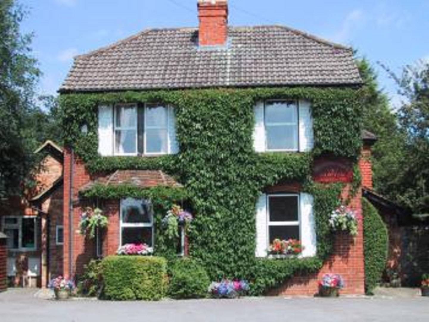 Camberley Bed and Breakfast
