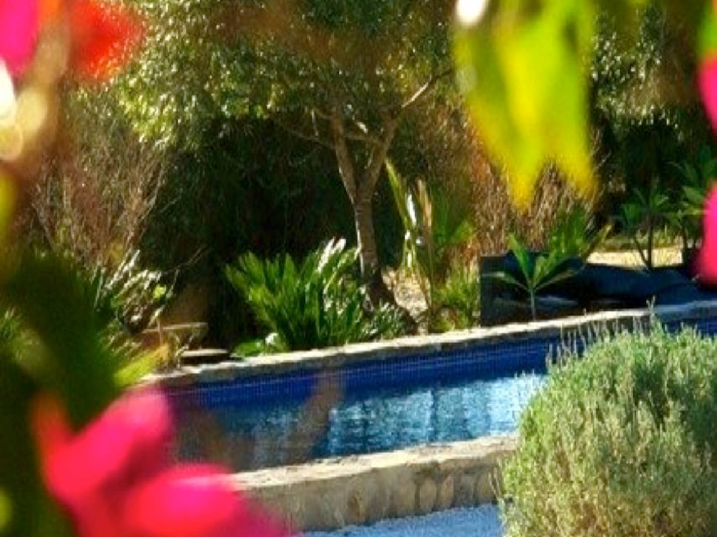 Alicante (Alacant) Vacation Rental