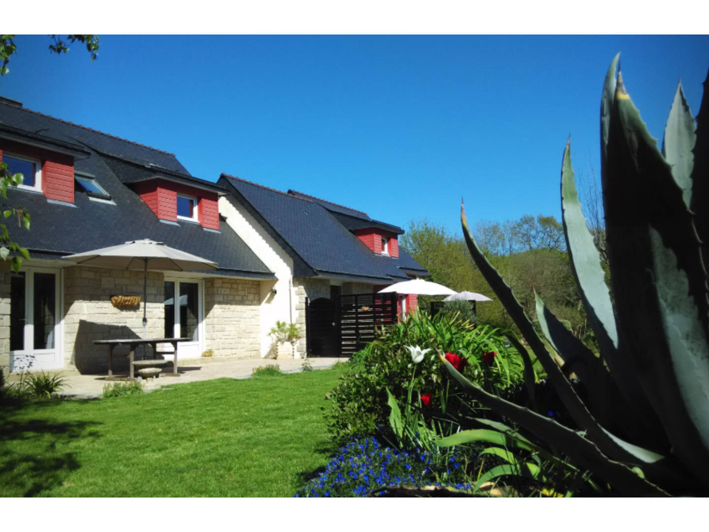 Bono Vacation Rental