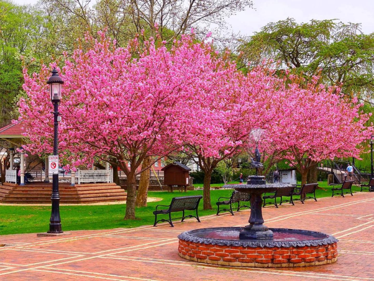 The Queen, A Victorian Bed and Breakfast, Bellefonte, Pennsylvania Bed and Breakfasts Inns