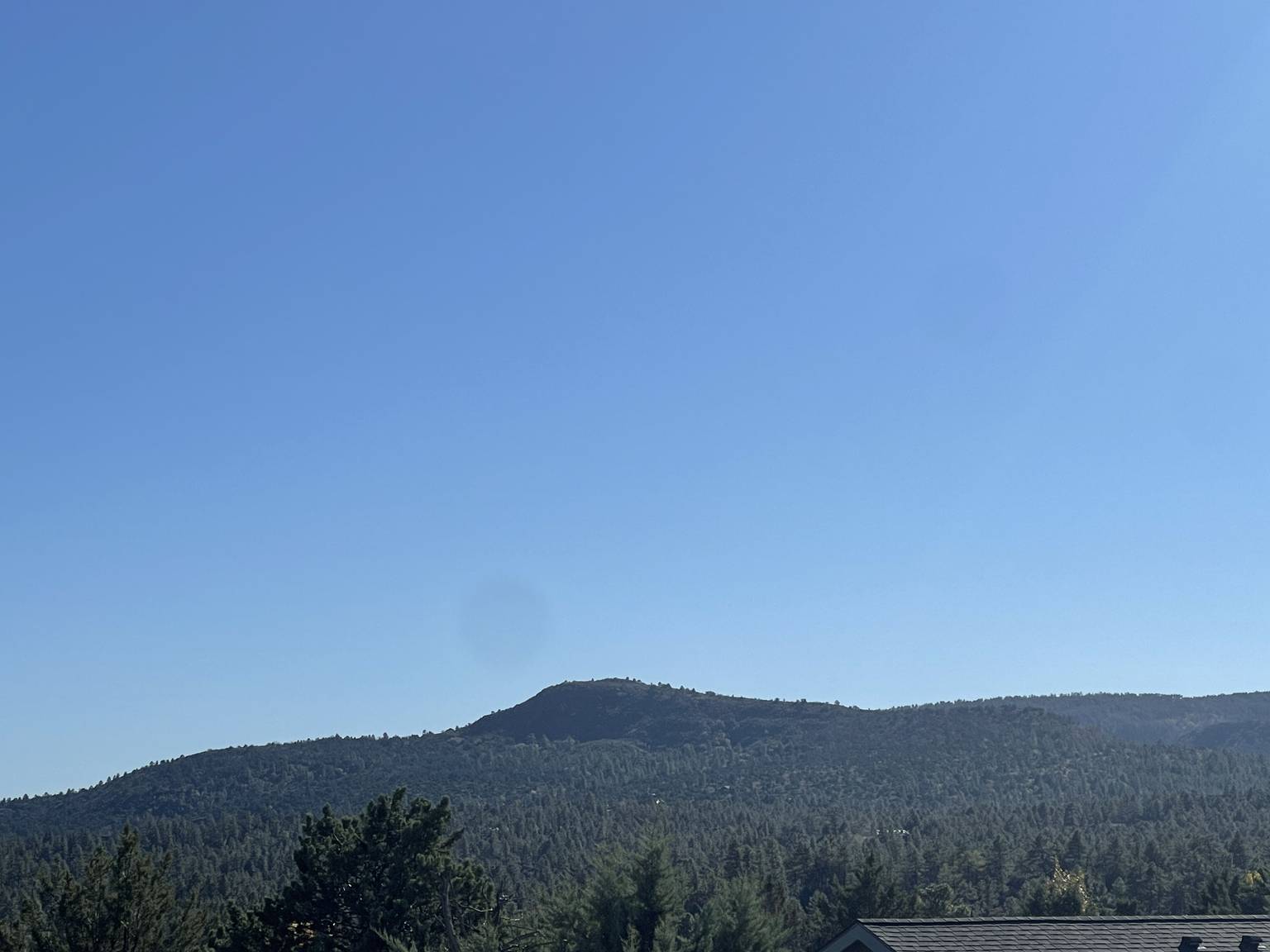 Pine Vacation Rental