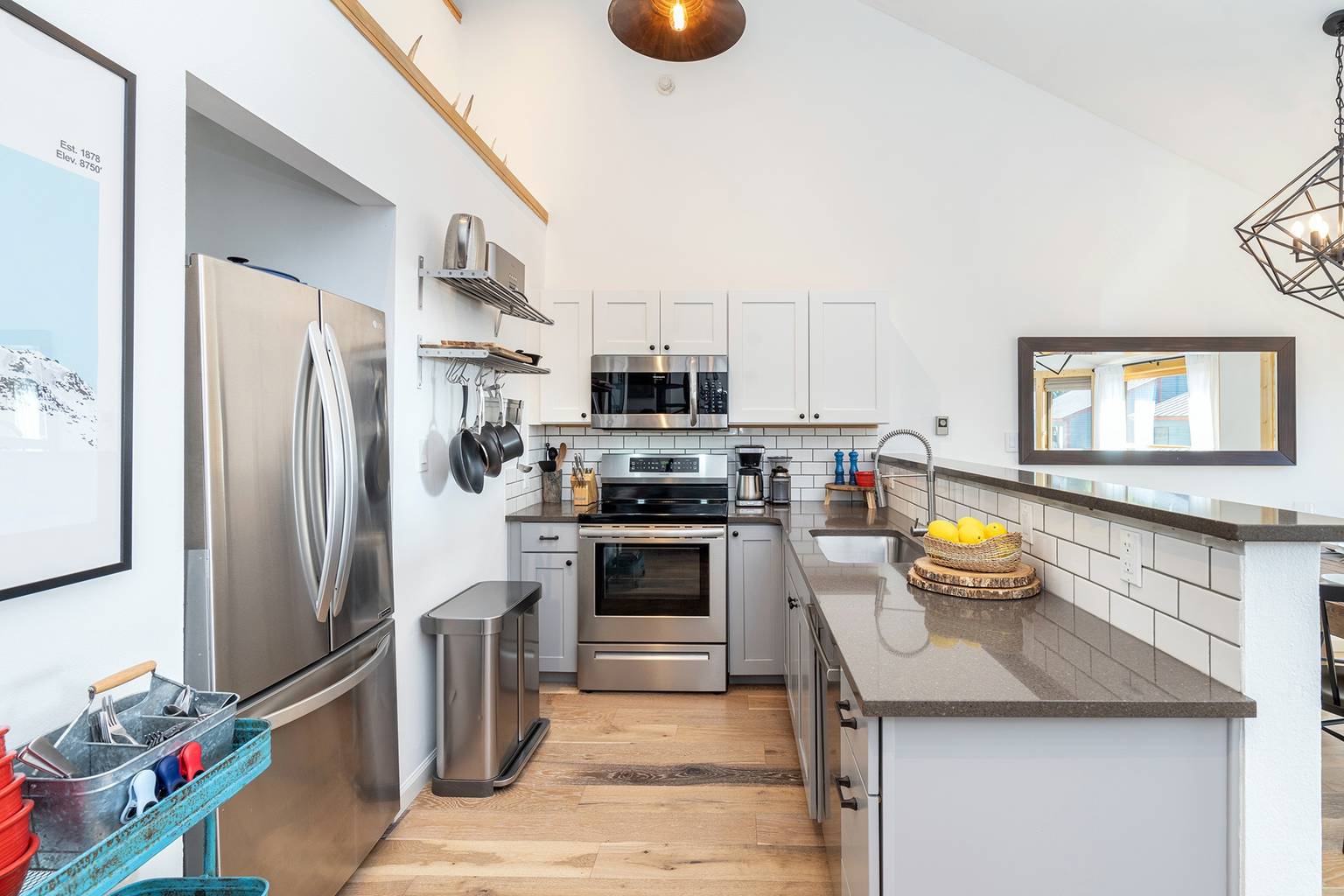 Telluride Vacation Rental