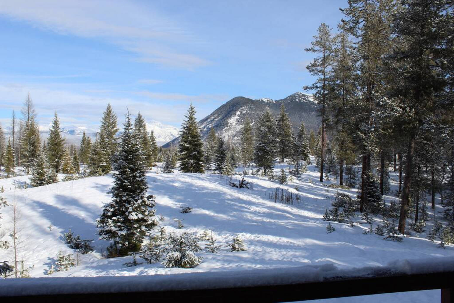 Glacier Majesty view Glacier Park visit Whitefish, West Glacier