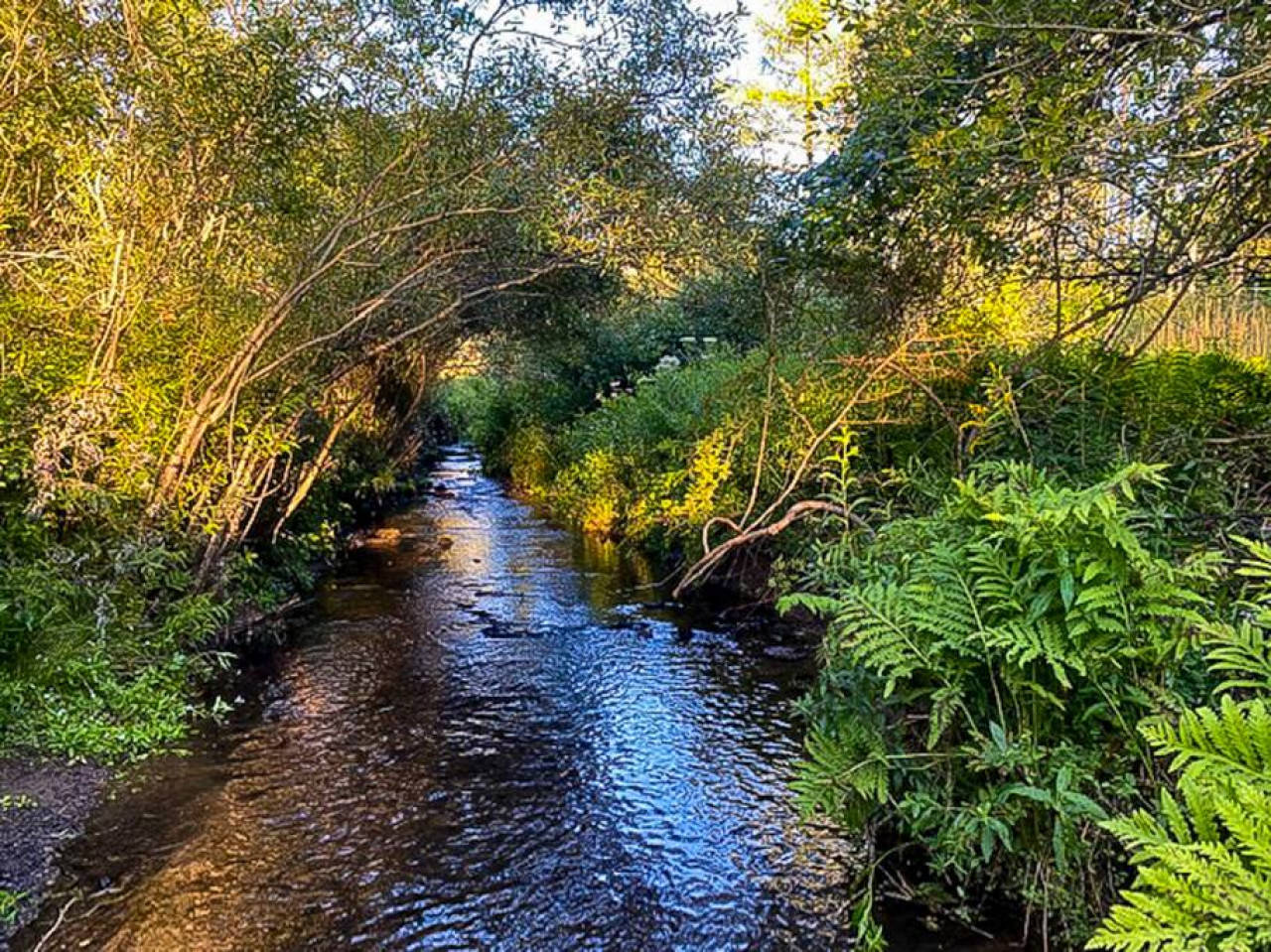 111 Acre 4BR 4 Bath Retreat with Hiking Trails, Bovina Center, New York