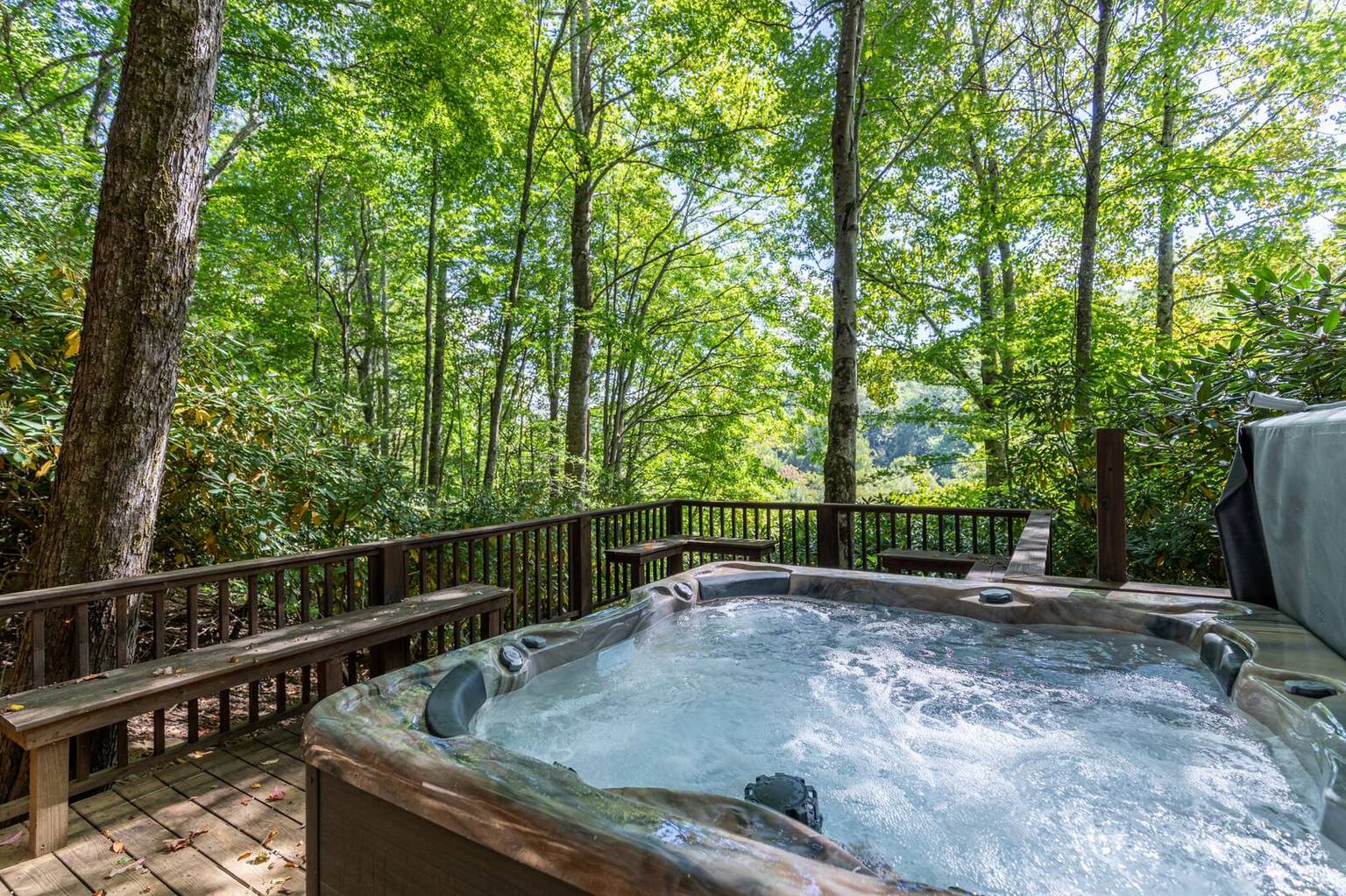 Seven Devils North Carolina Bed and Breakfast Inn Bearly a Care