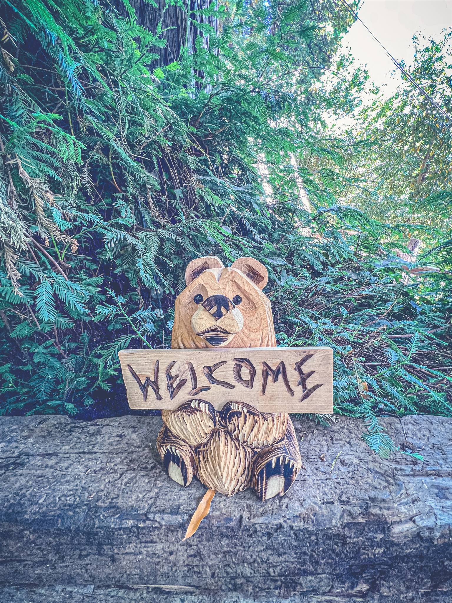 Guerneville Vacation Rental