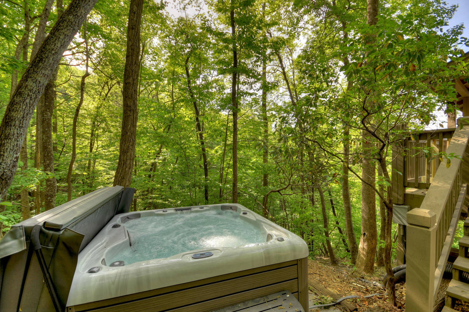 Starlight Mountain is pet friendly with incredible Mt view, hot tub