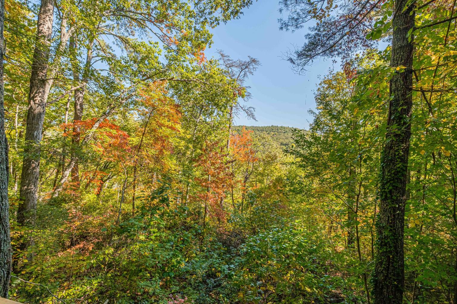 Cozy Tree Top, Helen, GA Bed and Breakfasts Inns