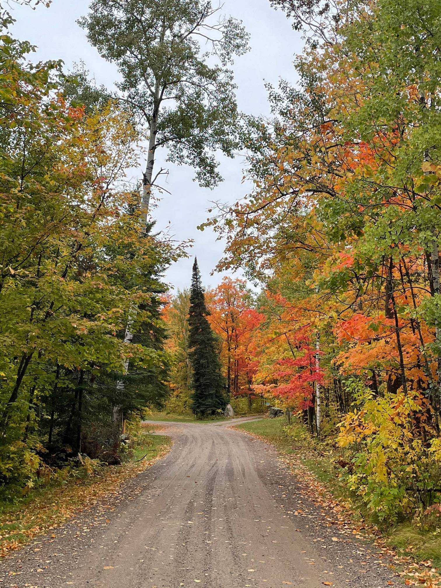 The Aframe on Bass Lake, Grand Rapids, MN Bed and Breakfasts Inns