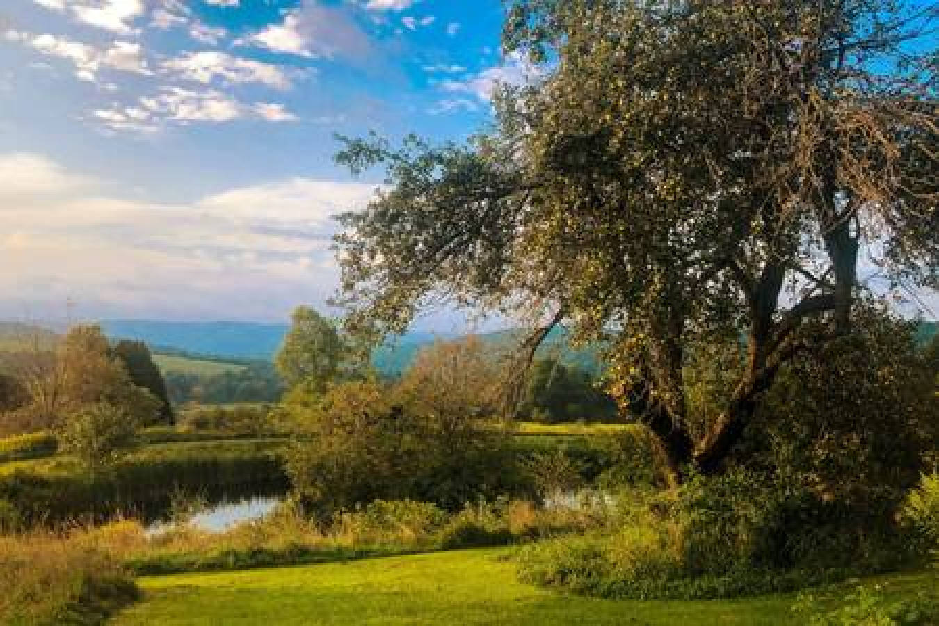 Snowy Valley Views at this 2BR Chic Country Cabin, Hamden, NY Bed and