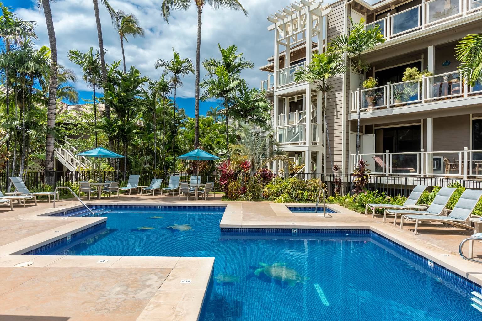 Wailea Vacation Rental