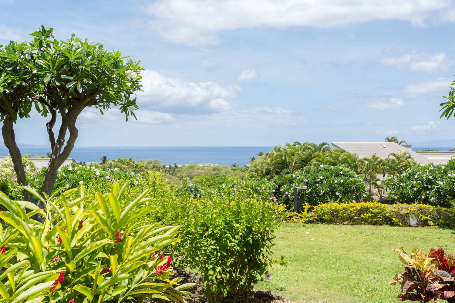 Wailea Vacation Rental