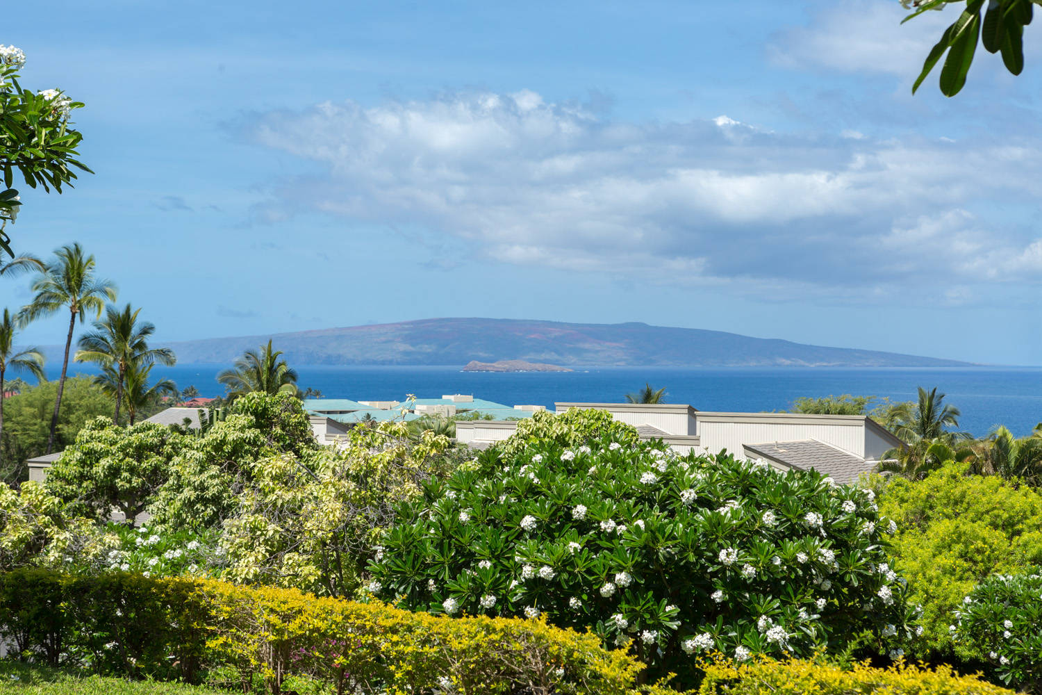 Wailea Vacation Rental