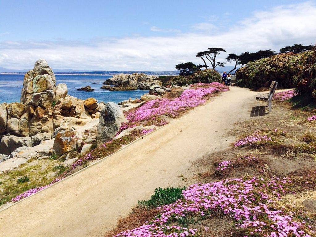 Pacific Grove Vacation Rental