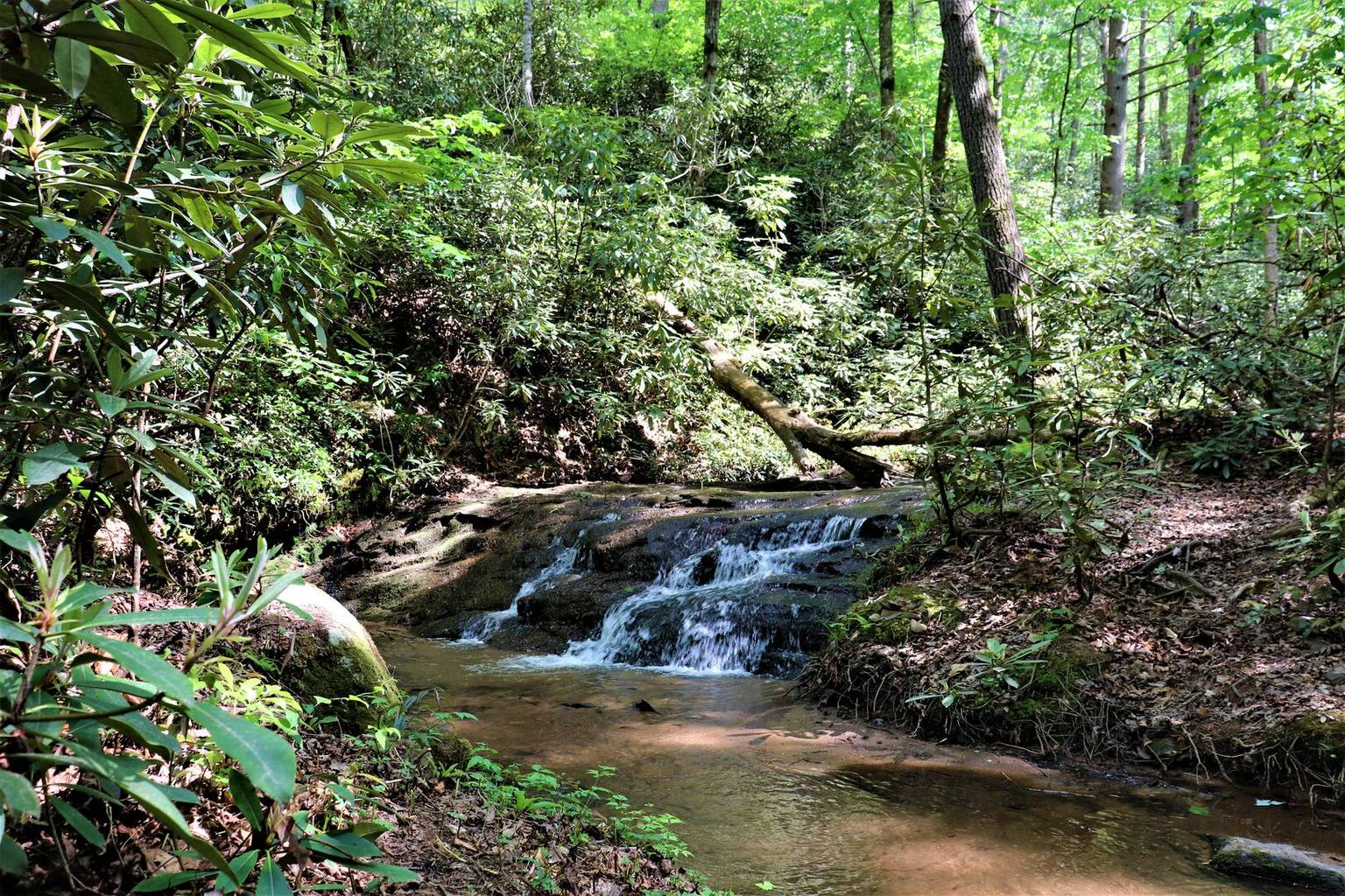 Lake Lure Vacation Rental