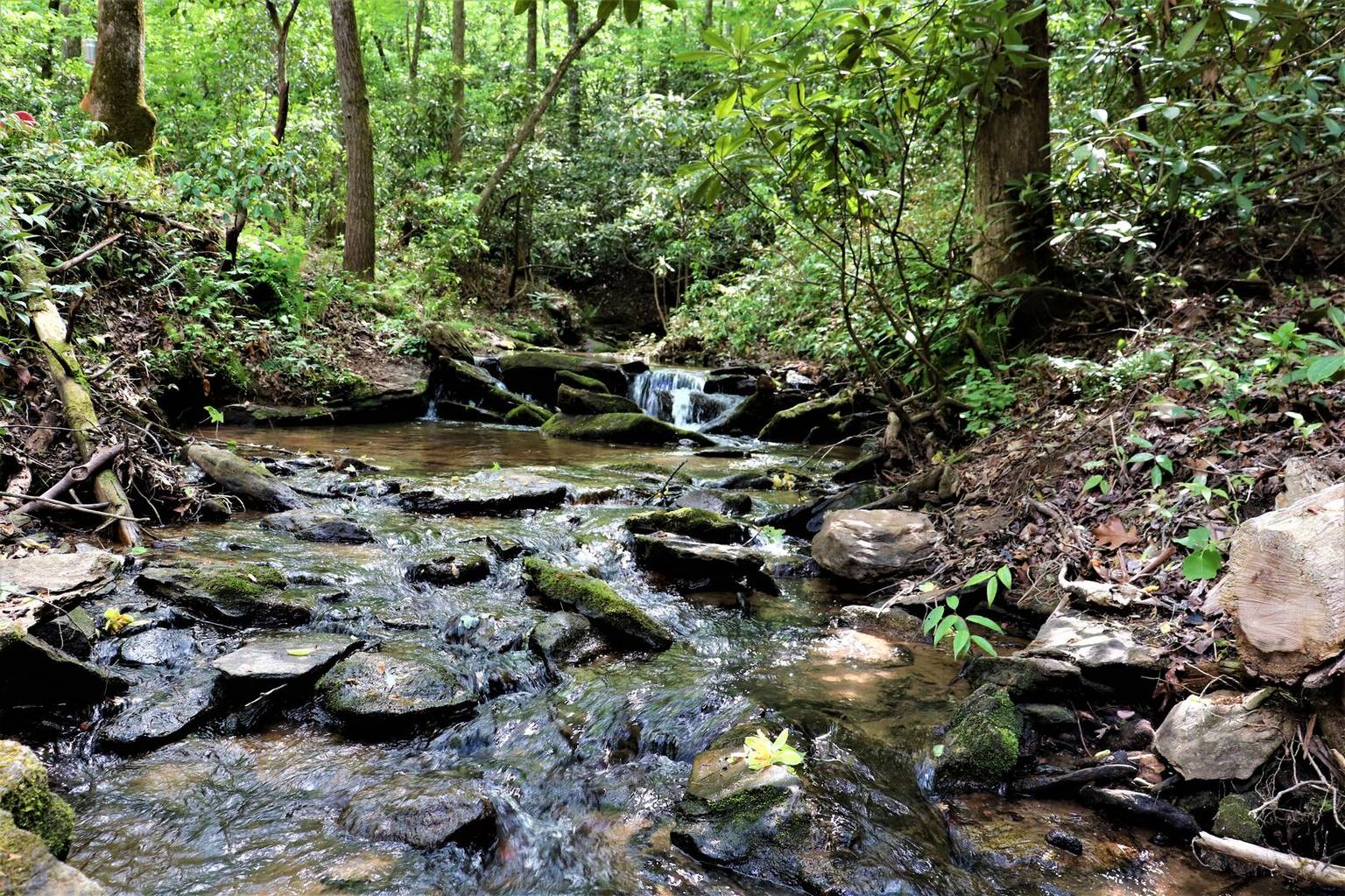 Lake Lure Vacation Rental