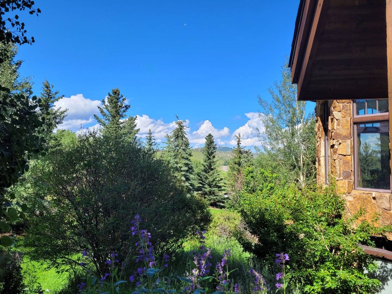 Telluride Vacation Rental