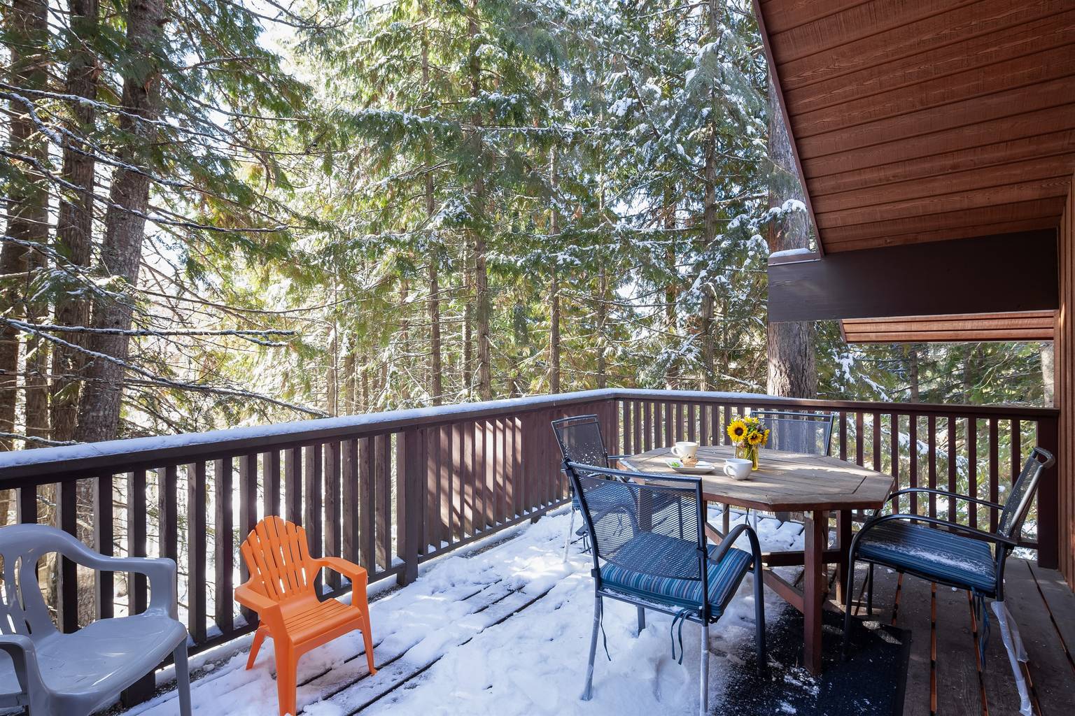 Whitefish Vacation Rental