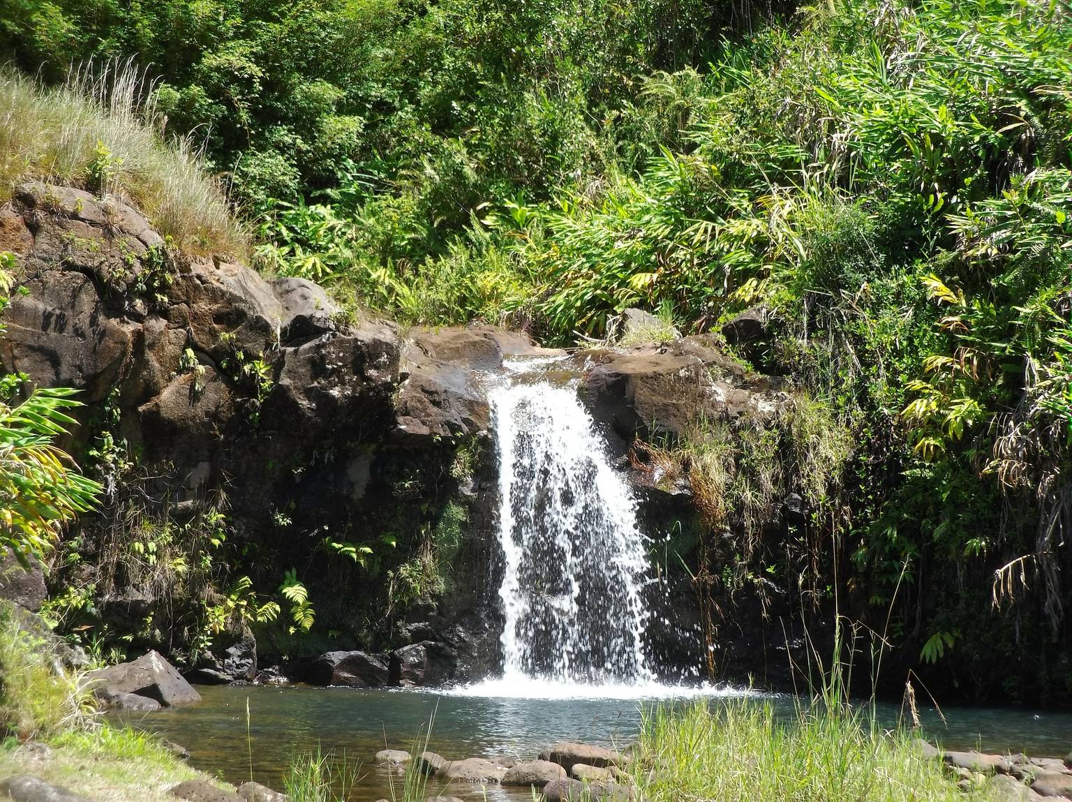 Hilo Vacation Rental