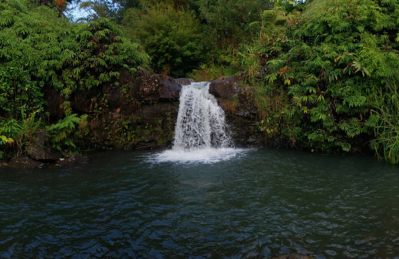 Hilo Vacation Rental