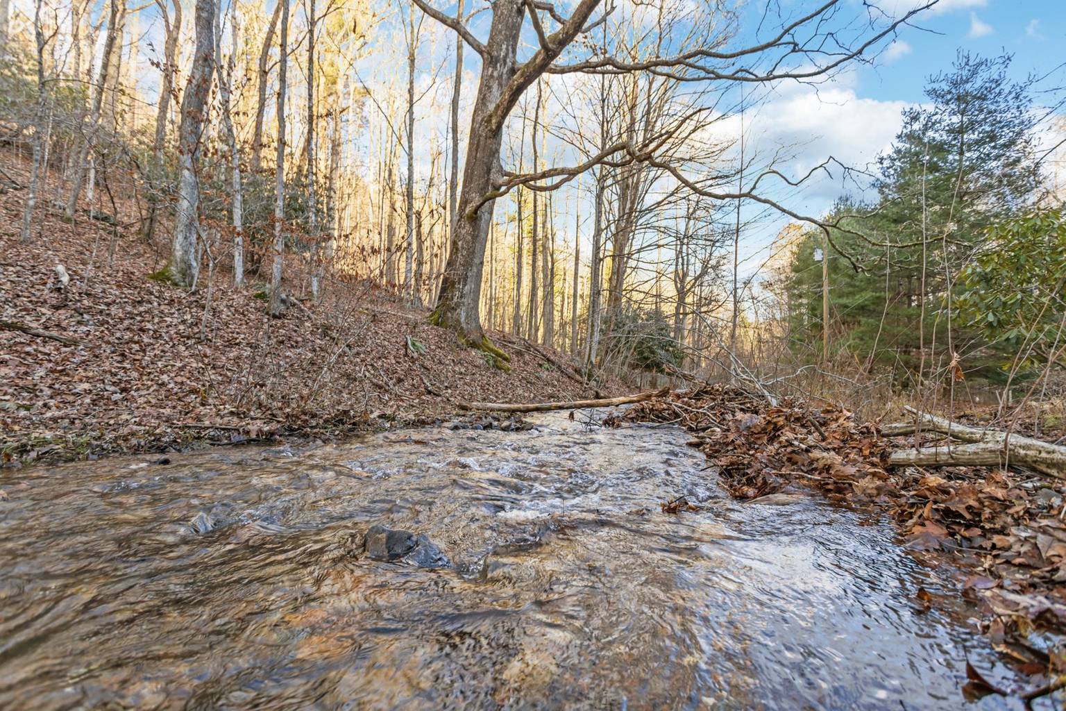 Boone Vacation Rental