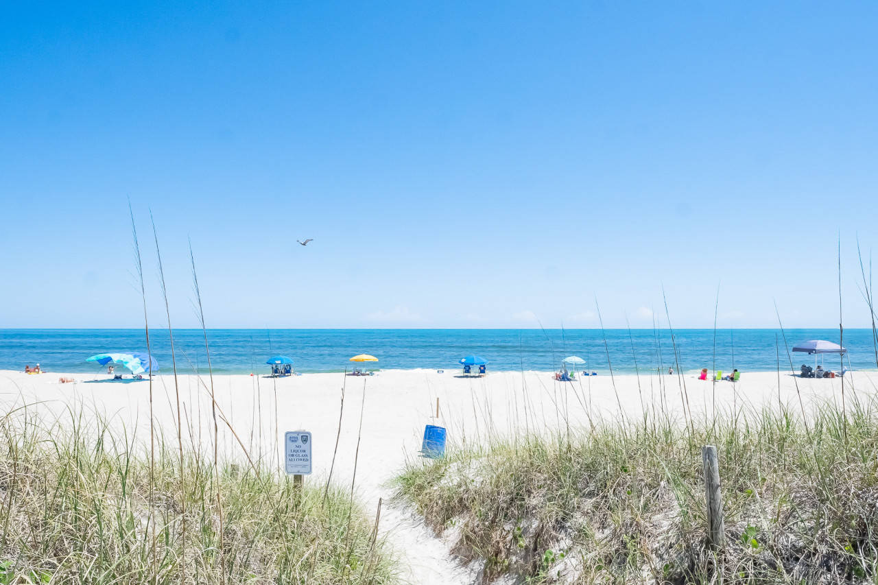 Carolina Beach Vacation Rental