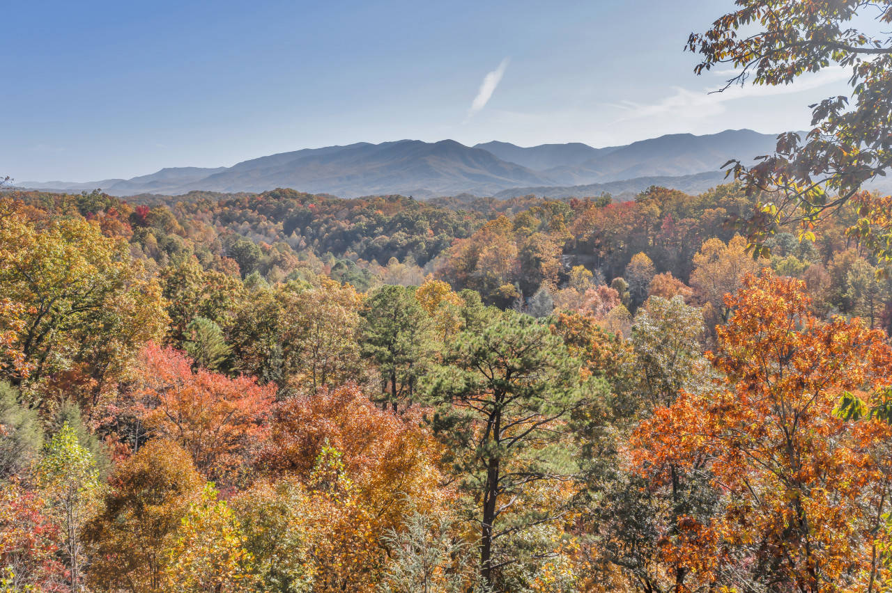 Gatlinburg Vacation Rental