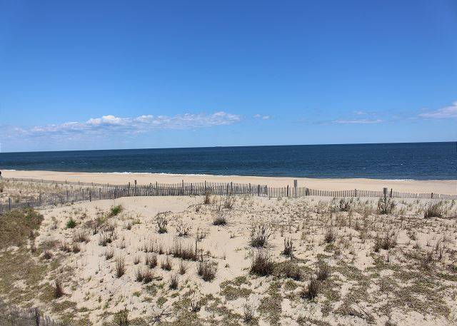 Dewey Beach Vacation Rental