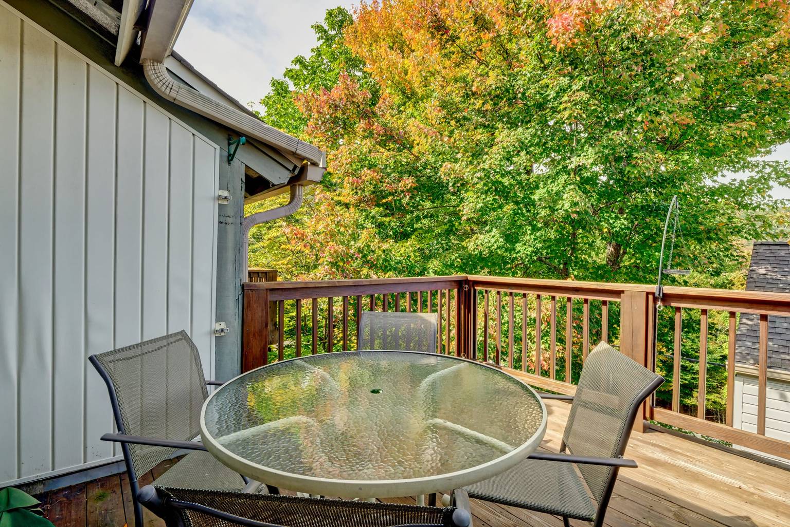 Beech Mountain Vacation Rental