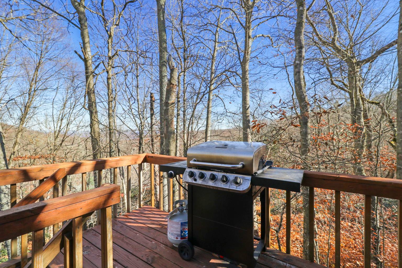 Beech Mountain Vacation Rental