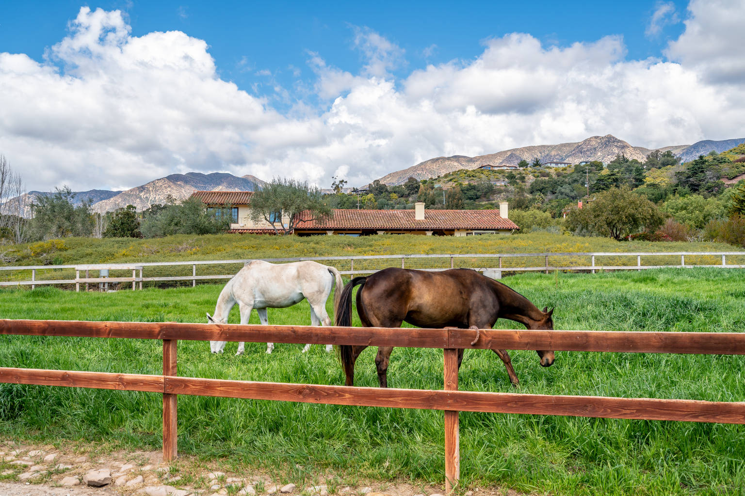 Carpinteria Vacation Rental