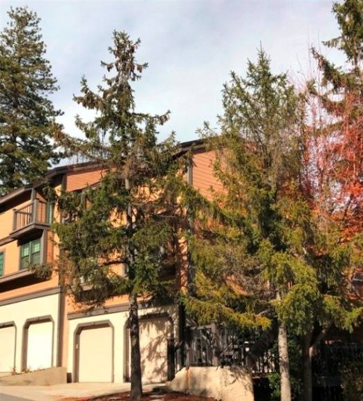 Lake Arrowhead Vacation Rental