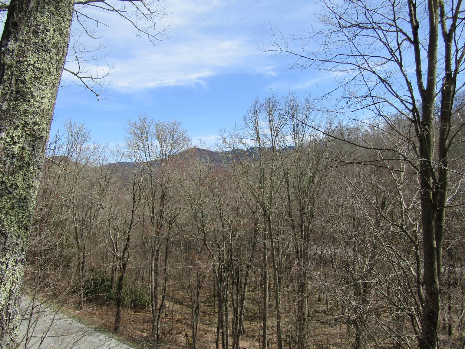 Sugar Mountain Vacation Rental