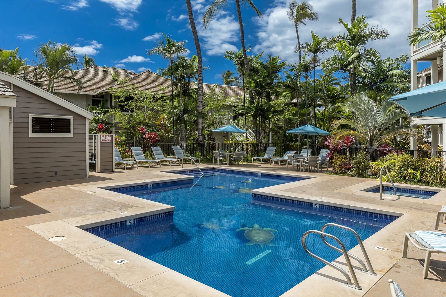 Wailea Vacation Rental