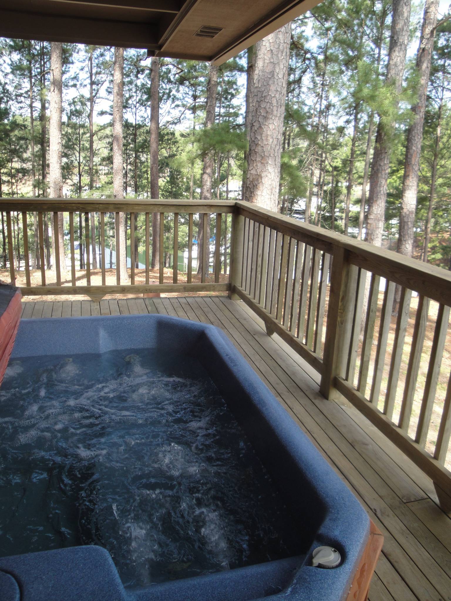 Mount Ida Vacation Rental