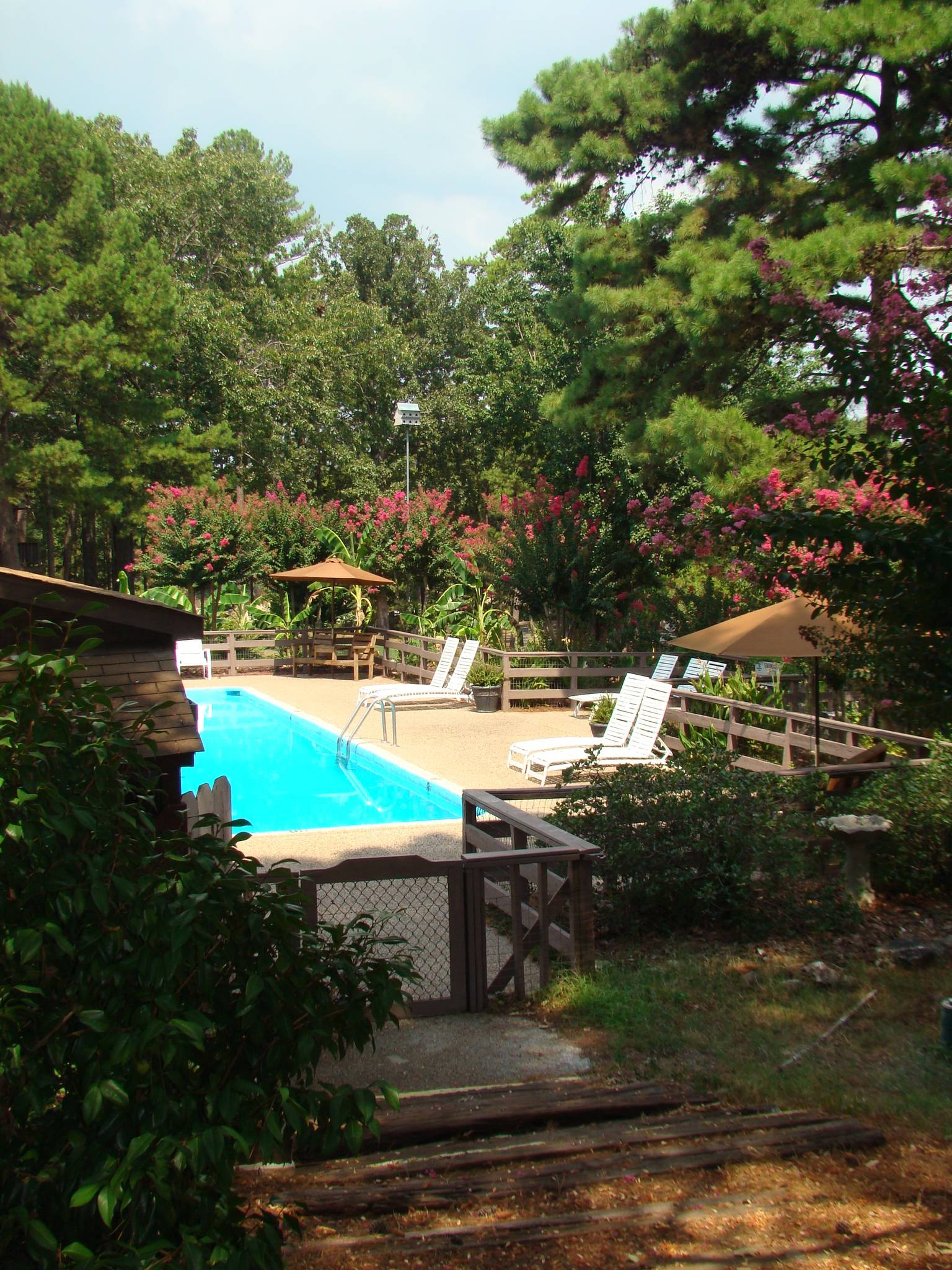 Mount Ida Vacation Rental