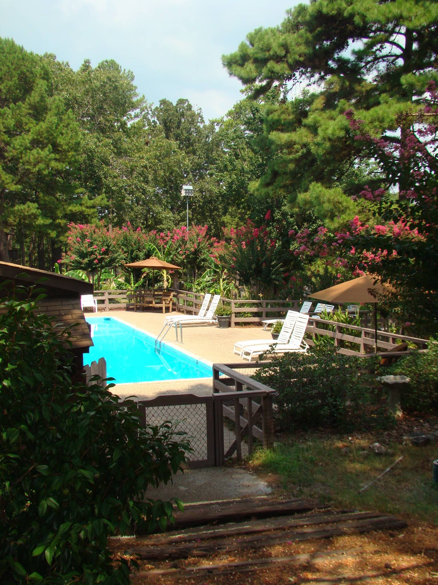 Mount Ida Vacation Rental