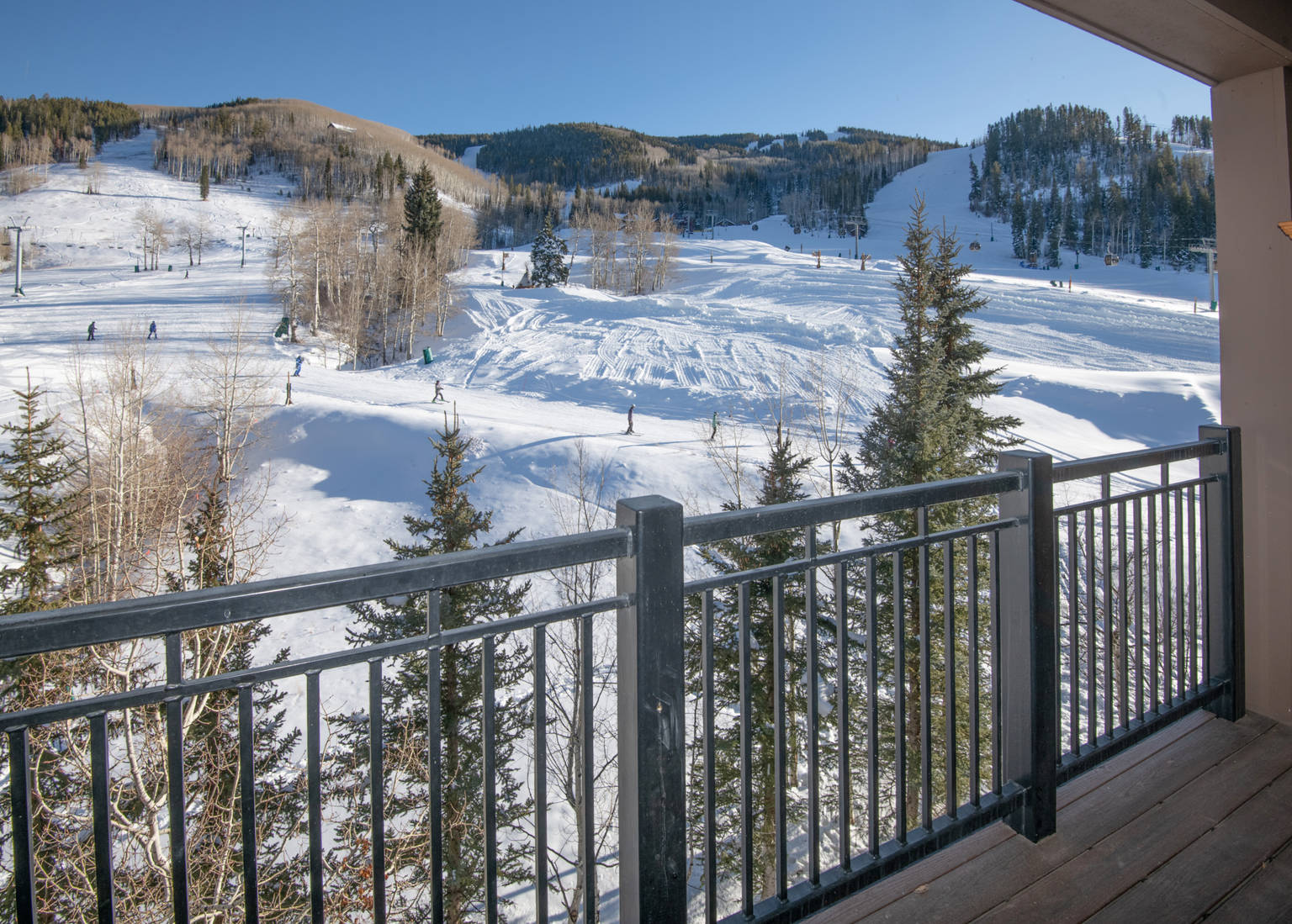 Beaver Creek Vacation Rental