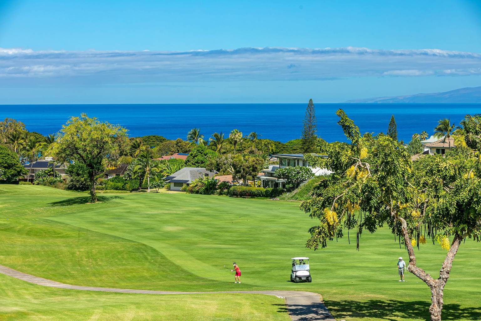 Wailea Vacation Rental