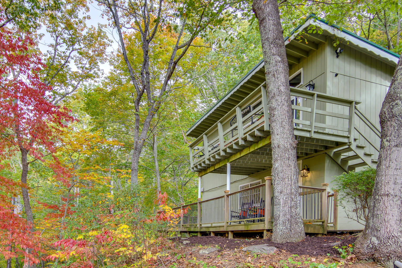 Black Mountain Vacation Rental