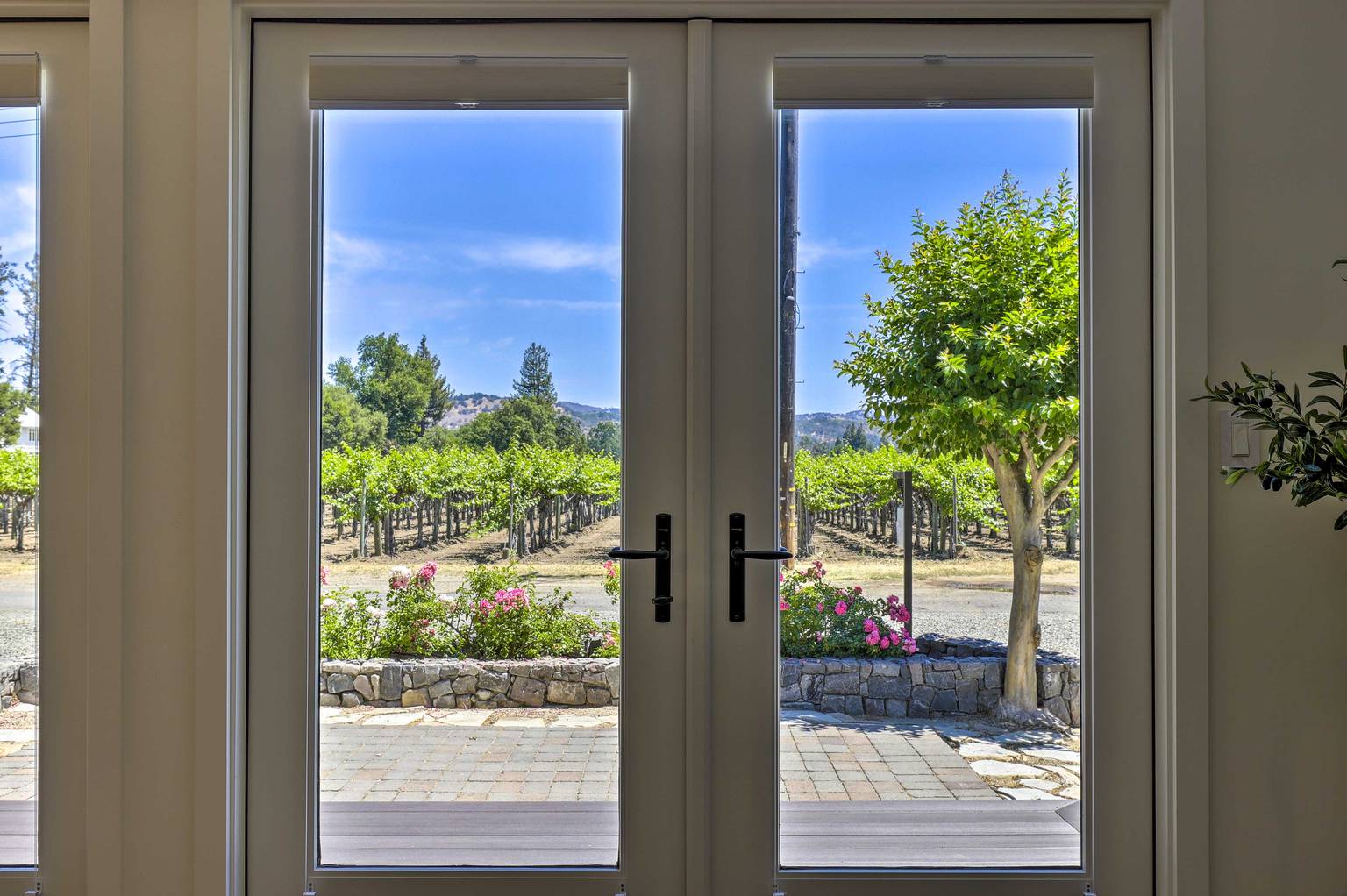 Napa Vacation Rental