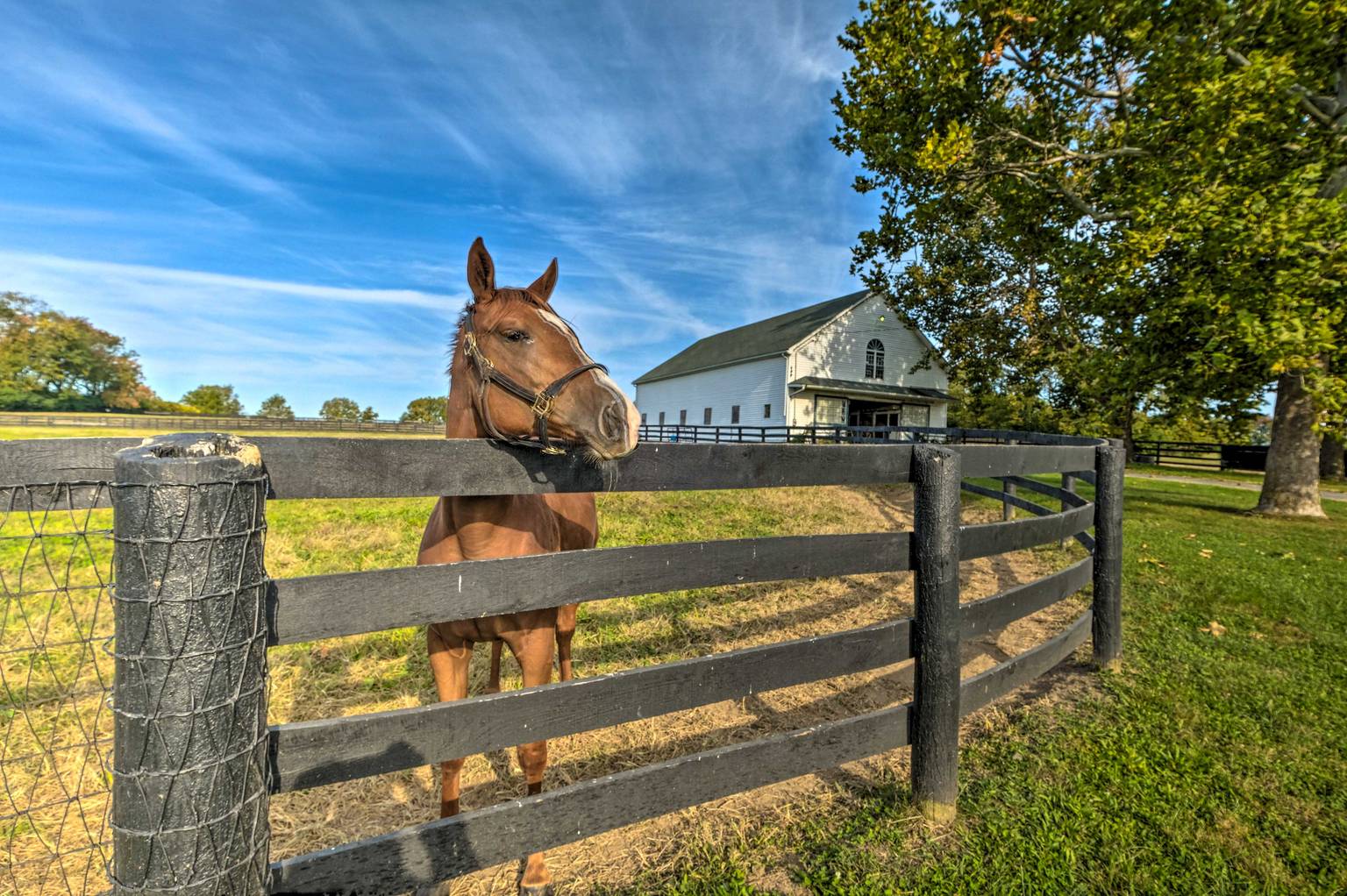 Lexington Vacation Rental