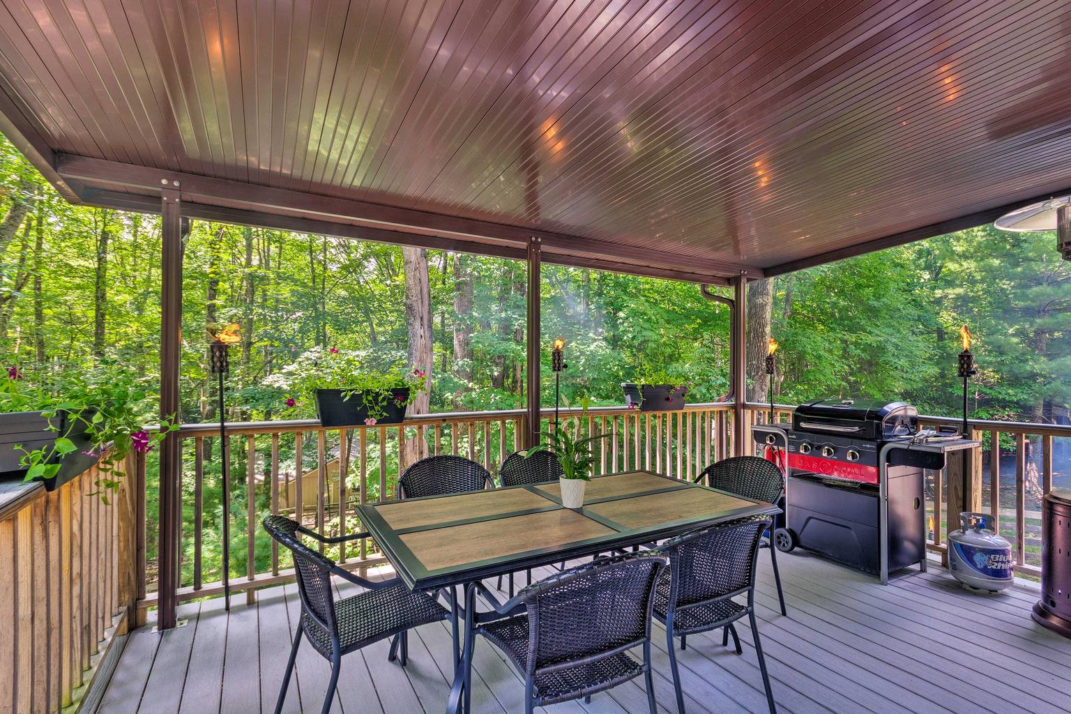 Beech Mountain Vacation Rental