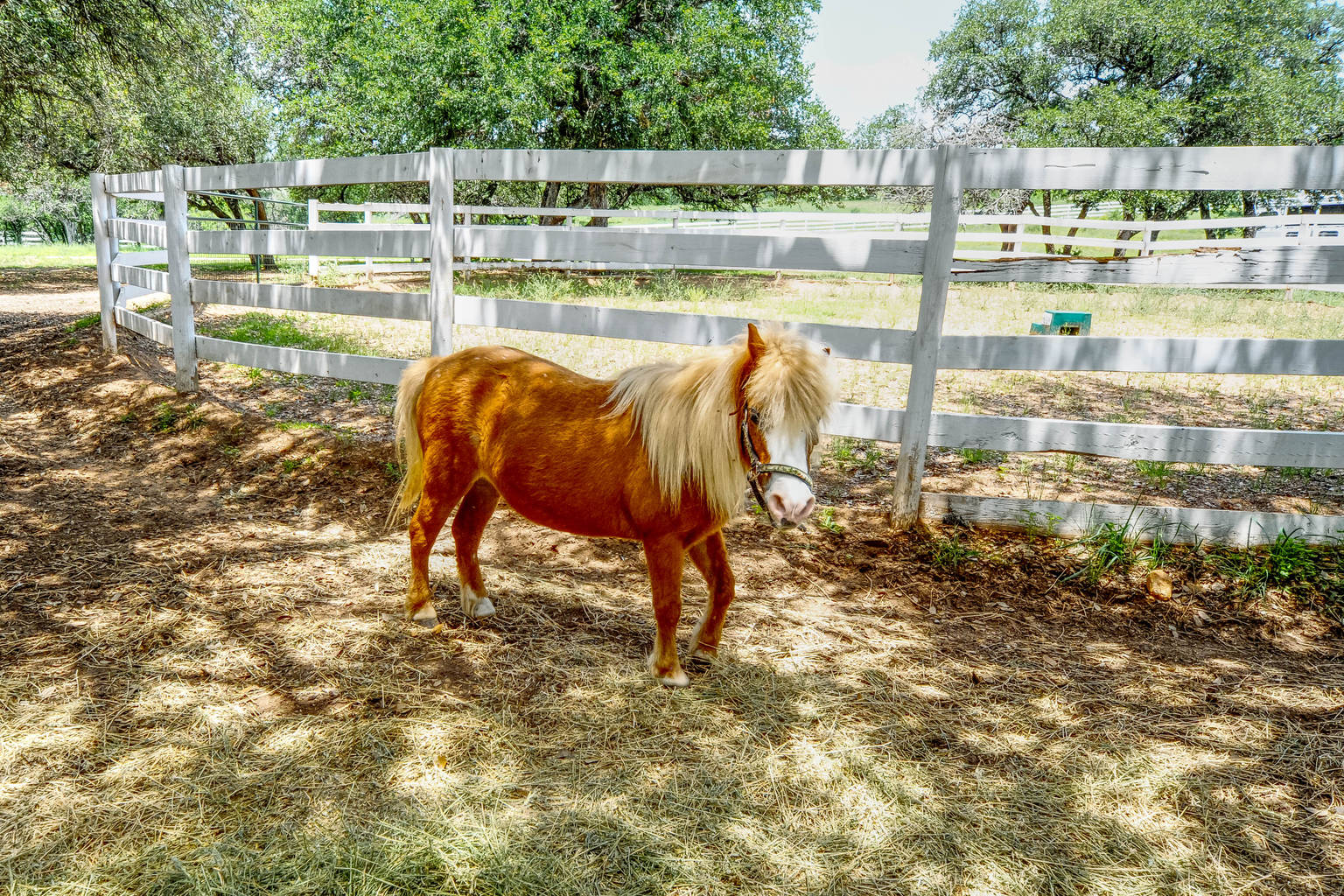 Spicewood Vacation Rental