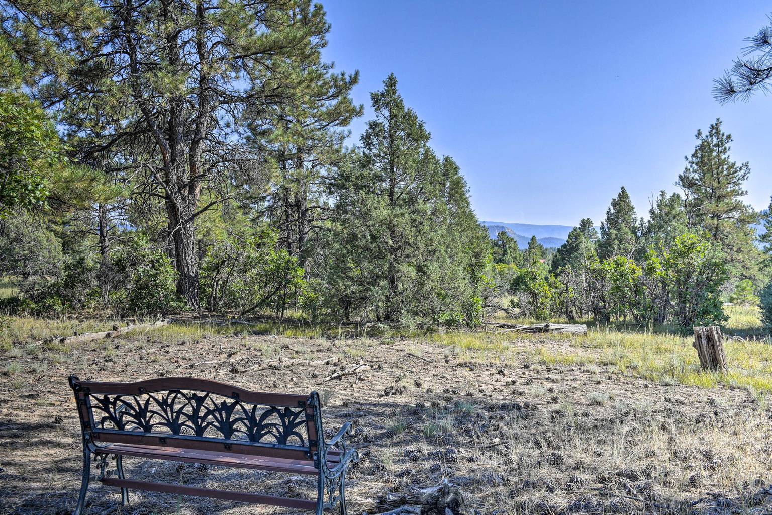 Pagosa Springs Vacation Rental